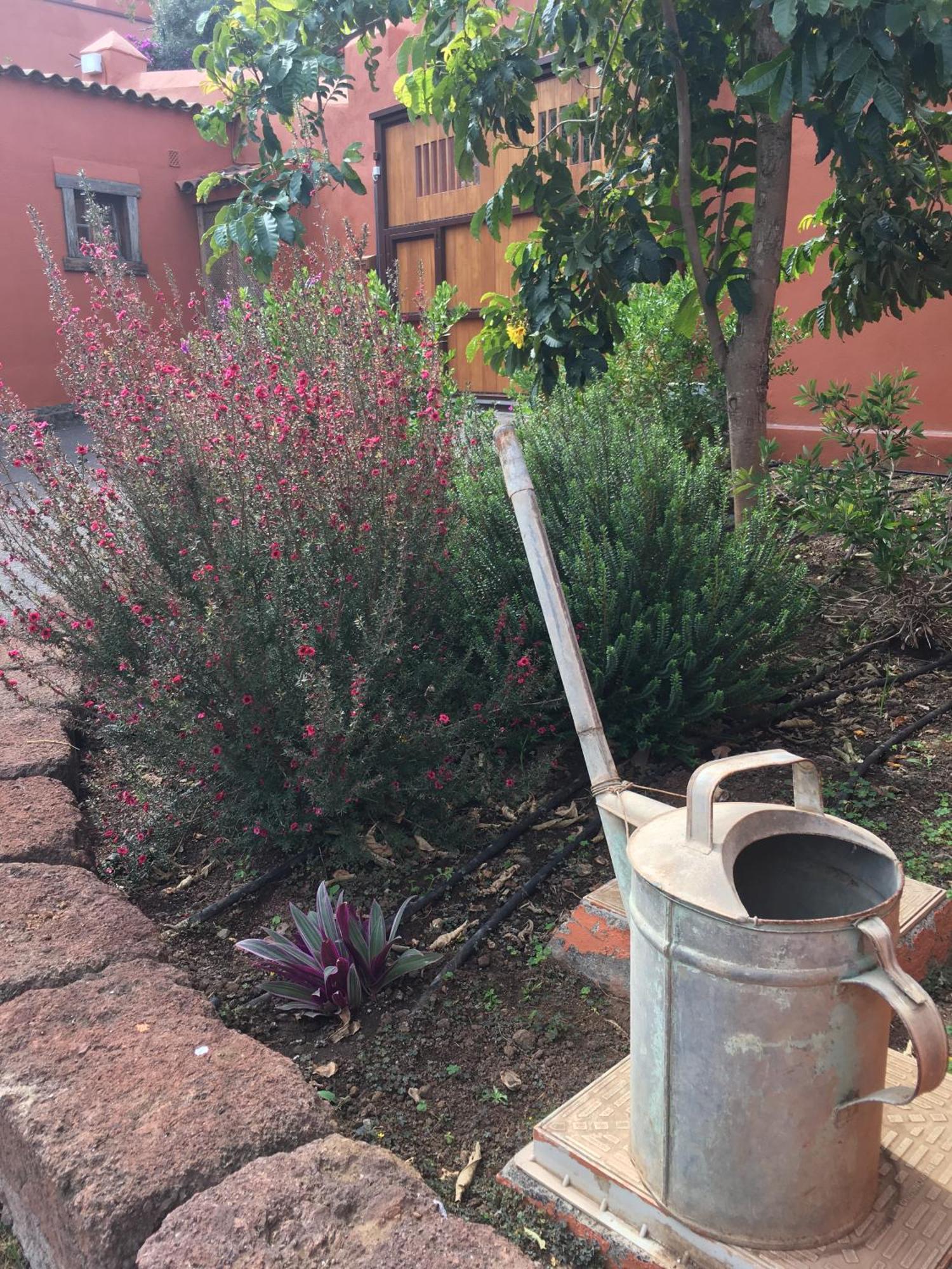 Haciendas Del Valle - Las Kentias Valle de Guerra Bagian luar foto