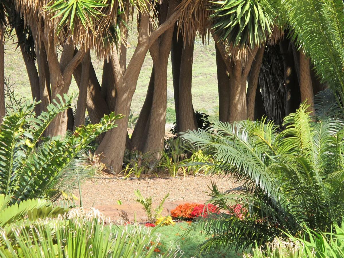 Haciendas Del Valle - Las Kentias Valle de Guerra Bagian luar foto