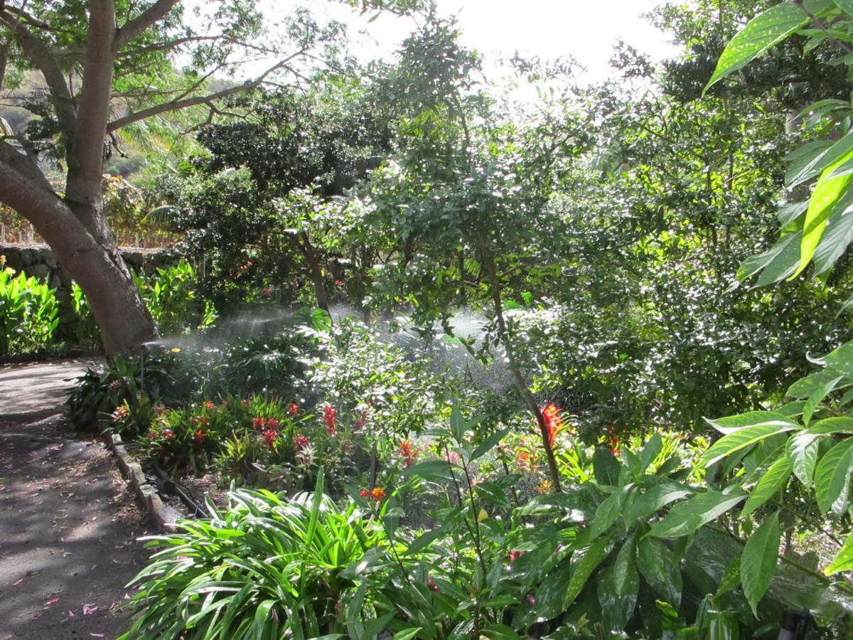 Haciendas Del Valle - Las Kentias Valle de Guerra Bagian luar foto